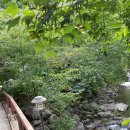 벌 민박 이미지