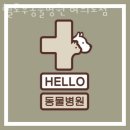 헬로우동물병원 이미지