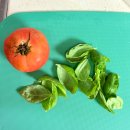 홍대 토마토물산전 후기 🍅 MZ취향 저격 감성 팝업스토어 ｜ 토마토코어