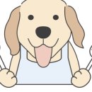 간식집 - 영덕군 | 간식집
