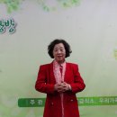 새봄맞이 음악회 이미지