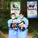 쌍둥이사진관 이미지