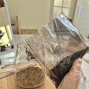 수원-0499 | [수원 광교 원데이클래스]-바비슈아(BOBBI SHUA)::이끼 테라리움 원데이클래스 체험 후기