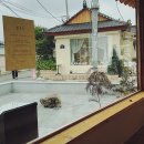 수경사 이미지