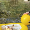 도전캠핑장 이미지