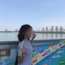 명랑도자 | 2026 차 없는 잠수교 뚜벅뚜벅 축제 방문 후기! (꿀팁, 푸드트럭 등)