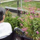 의료법인 명일의료재단 이미지