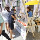 옥주골 어울림센터 | 진도 옥주골 어울림 마을축제&amp;열림식 &#39;사이좋GO&#39; 후기
