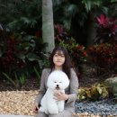 올웨이즈 반려견 미용실 이미지