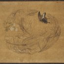 조미영 깃羽 2014.2.10 Mon ~ 2.14 Fri 홍익대학교 현대미술관 (HoMA, Hongik Museum of Art) 이미지