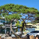 호저보건지소 이미지