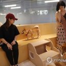 CATS TIME CAFE 연합뉴스