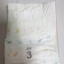 허리샘 바이오 이미지