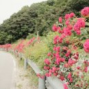 남하심소정 이미지