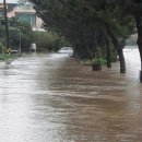 도청농장 이미지