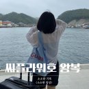 부산 대마도 배편 씨플라워호 왕복 멀미, 배 흔들림 후기