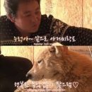 온천농장 이미지