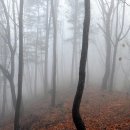 북방3 Daum카페