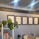 엑스포제일의원 이미지