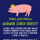 끝돈 구미시청점 이미지