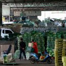 배추 36%·김 20%↑…3월 생산자물가 넉달째 상승 이미지