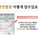 [공지] 2019 햇 천연벌꿀 - 아카시아꿀 채밀