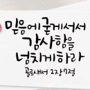 대한민국꽃배달