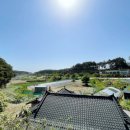 신세대빌리지 이미지