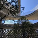 송아빌딩 이미지