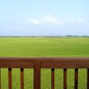 솔마루황토펜션 이미지