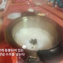 홍구리 이미지