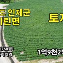 깔끔하게 정돈된 토지 2,539 ㎡(768평) 1억9천2백만원 이미지