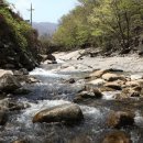 신황민박 이미지