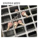 커몰 이미지