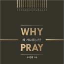 타기돈