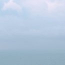 이비스 앰배서더 부산 해운대 | 이비스 앰배서더 부산 해운대 숙박후기(루프탑바) + 조식