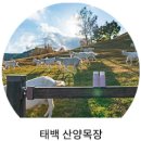 고원사우나