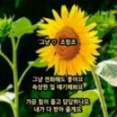 조항조노래-그냥-멜로디-가사 이미지