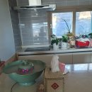 비취 블루베리 이미지