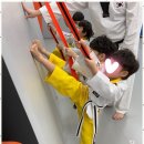 즐거운태권도 이미지