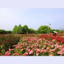 곡성-083 이미지