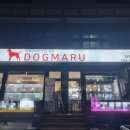 창원강아지분양 고양이분양 도그마루 이미지