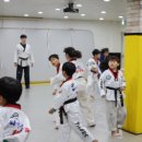 용인대 한국태권도 이미지