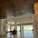 지바 | 칸쿤 여행 경비 준비물 하얏트 지바 칸쿤 후기