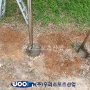 군산제일고등학교 티스토리