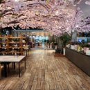 어반푸드오피스 이미지