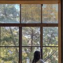 장안문 안내소 | 정지영커피로스터즈 장안문점 목련 개화 현황 및 행궁동 주차장 추천