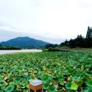 (유)금마환경 | 익산 서동공원..마한박물관 관람후 금마저수지까지