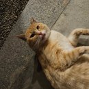 금마면주민센터 | 26/03/23 뚜벅이의 익산여행코스 추천 (1) 10년만의 단체여행