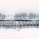 김영근 농장 이미지